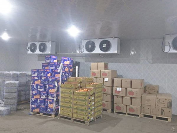 南京水果冷库建造案例