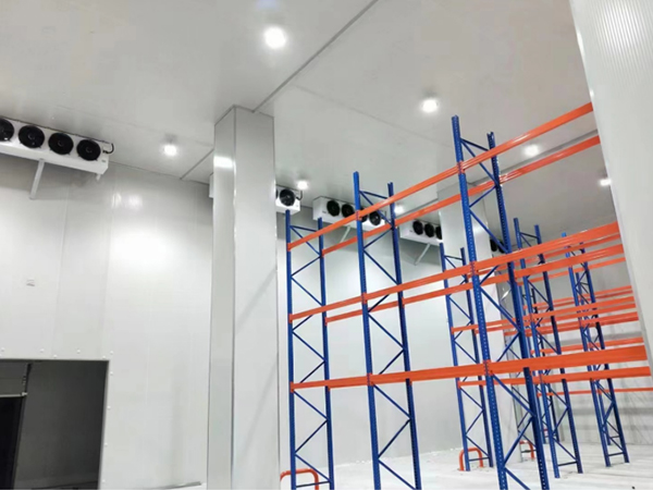 上海保鲜冷库建造案例